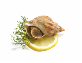 Wulkenvlees escargots 120-150st 1kg